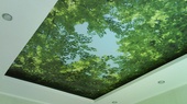 фотопечать леса на натяжном потолке